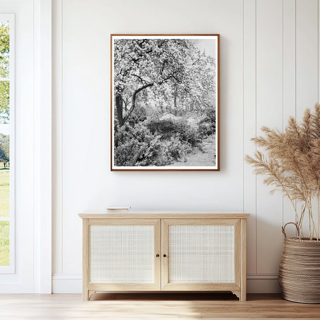 Boyce VA Garden Photograph, Early 20th Century