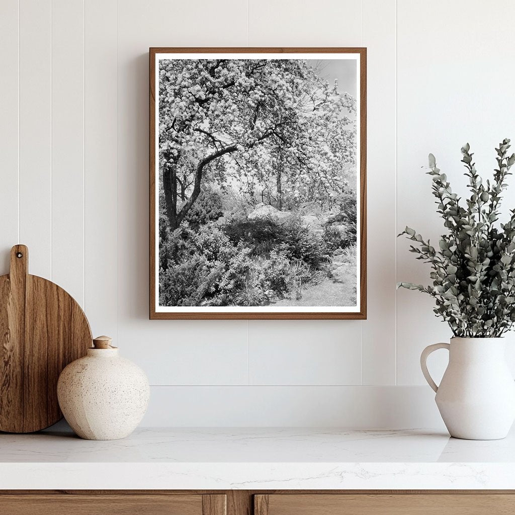 Boyce VA Garden Landscape Photo, Early 20th Century