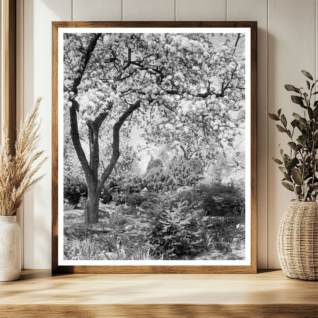 Vintage Garden Landscape in Boyce, VA, 20th Century