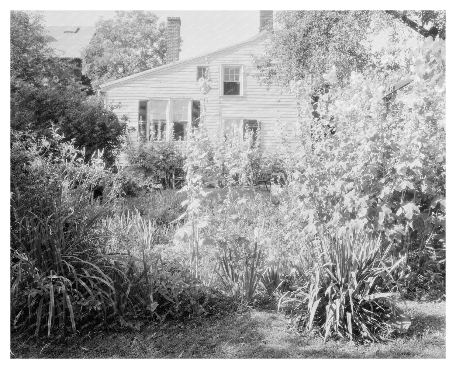 Captain Lynch House, Alexandria VA, Early 20th Century Photo