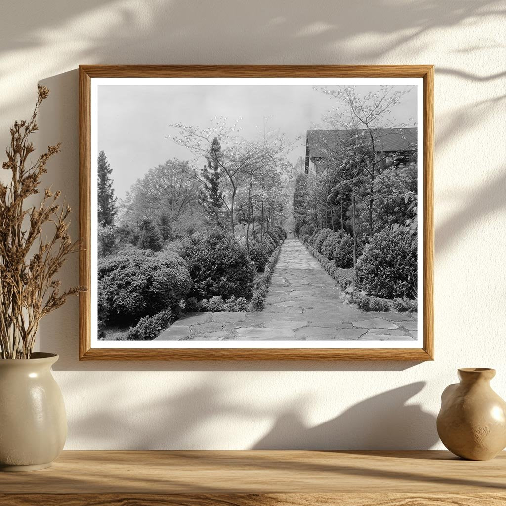 Vintage Landscape of Warrenton, VA - 1950s Architecture