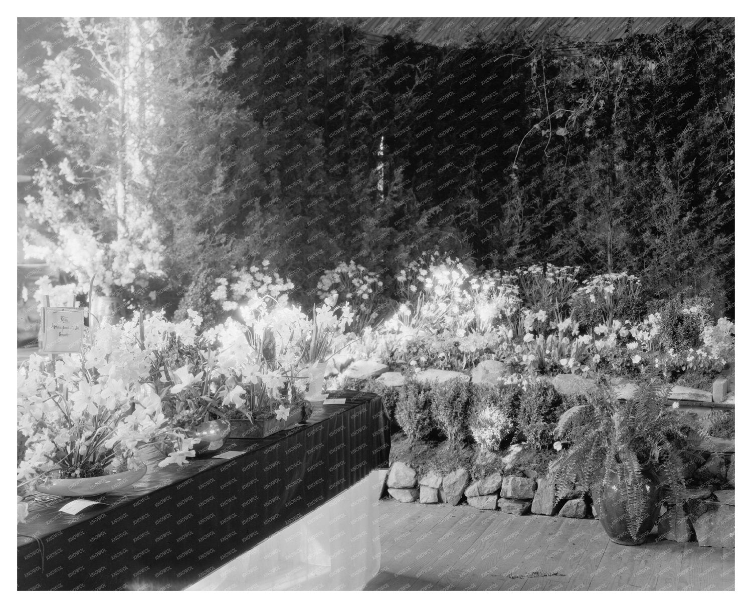 Flower Show in Middleburg, Virginia - 20th Century History