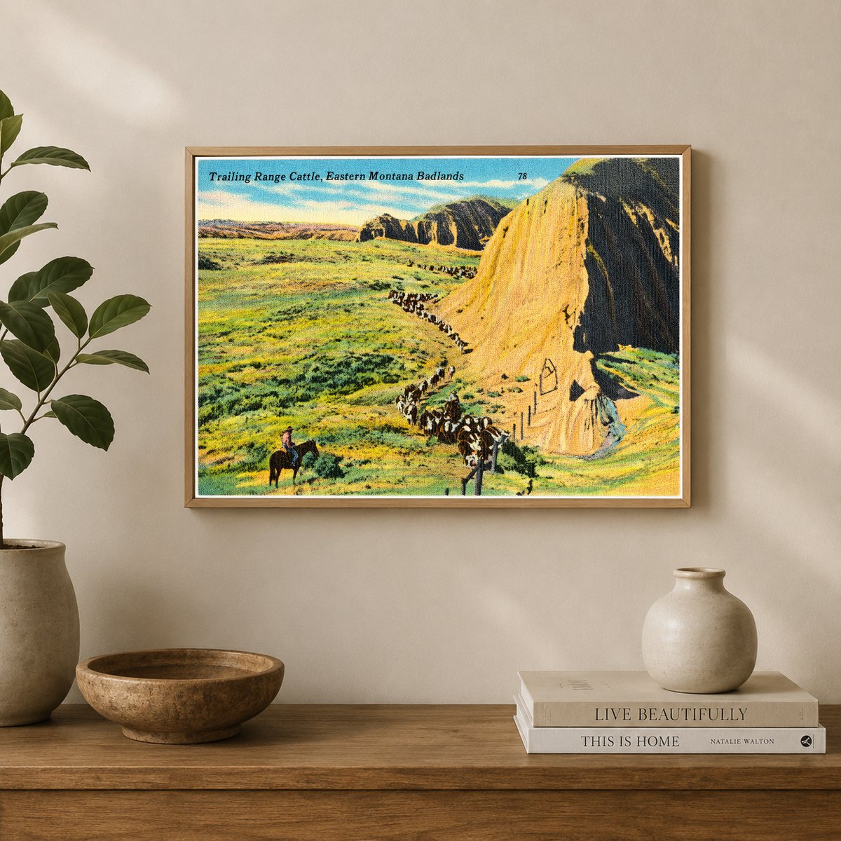 MT: Trailing Range Cattle, Eastern Montana Badlands