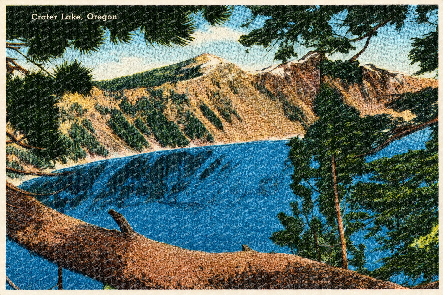 Black Crater Lake, OR: Crater Lake