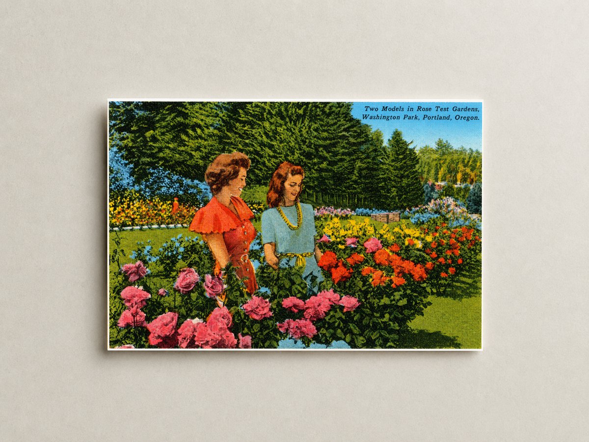 Portland, OR: Two models in rose test gardens, Washington Park