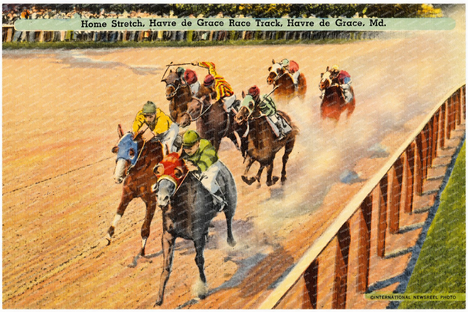 Home stretch, Havre de Grace Race Track, Havre de Grace, MD — Vintage Maryland Postcard