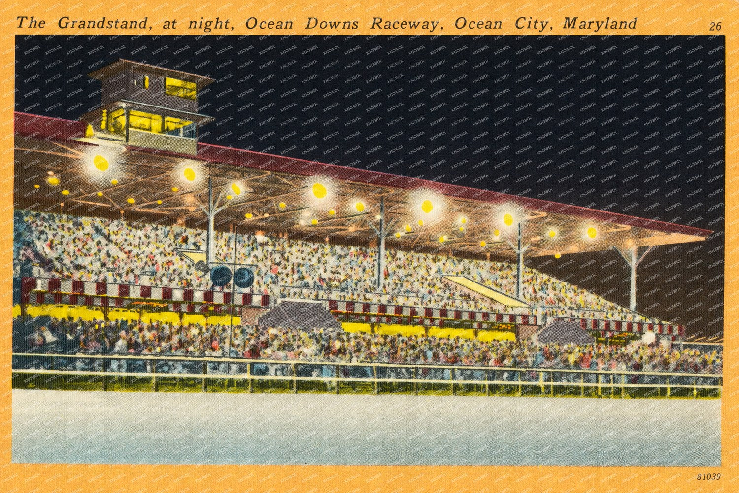 The grandstand, at night, Ocean Downs Raceway, Ocean City, Maryland — Vintage Maryland Postcard