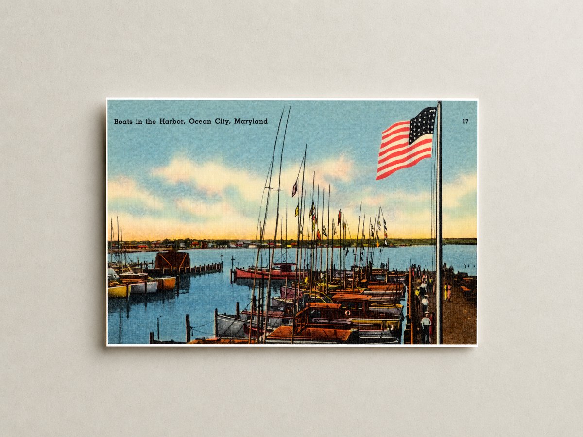 Boats in the harbor, Ocean City, Maryland — Vintage Maryland Postcard