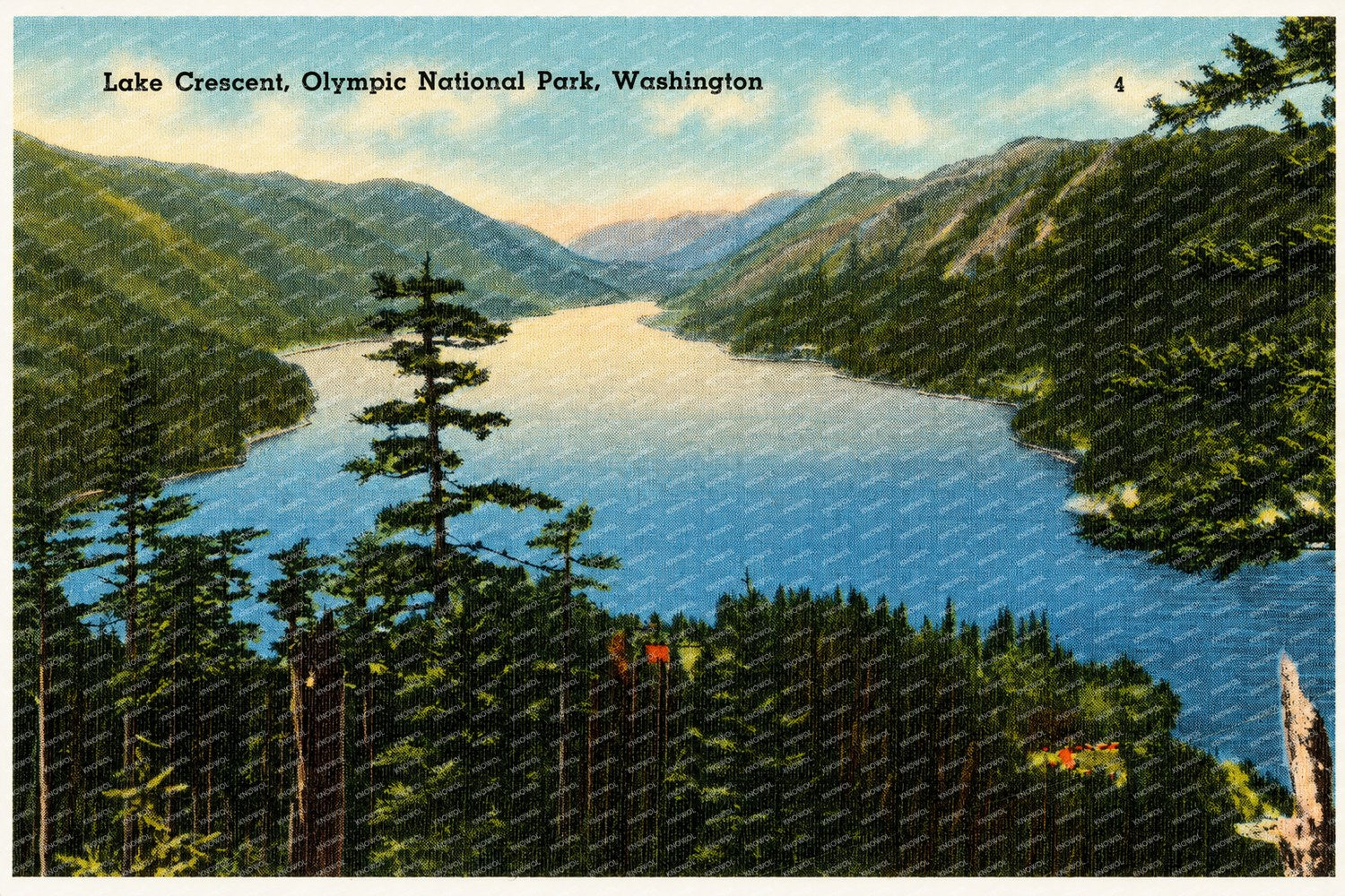 Crescent, Lake, WA: Lake Crescent, Olympic National Park
