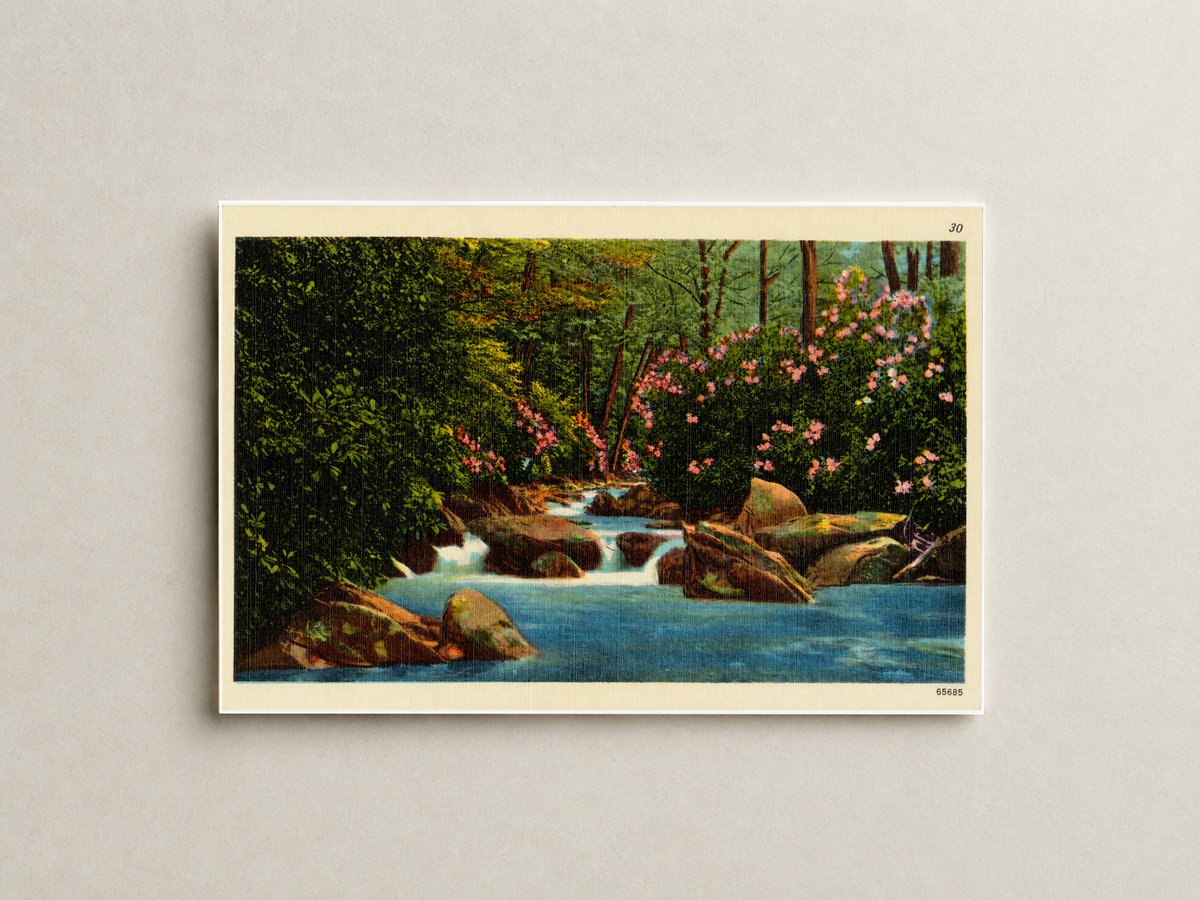 A mountain trout stream near Hagerstown, MD — Vintage Maryland Postcard