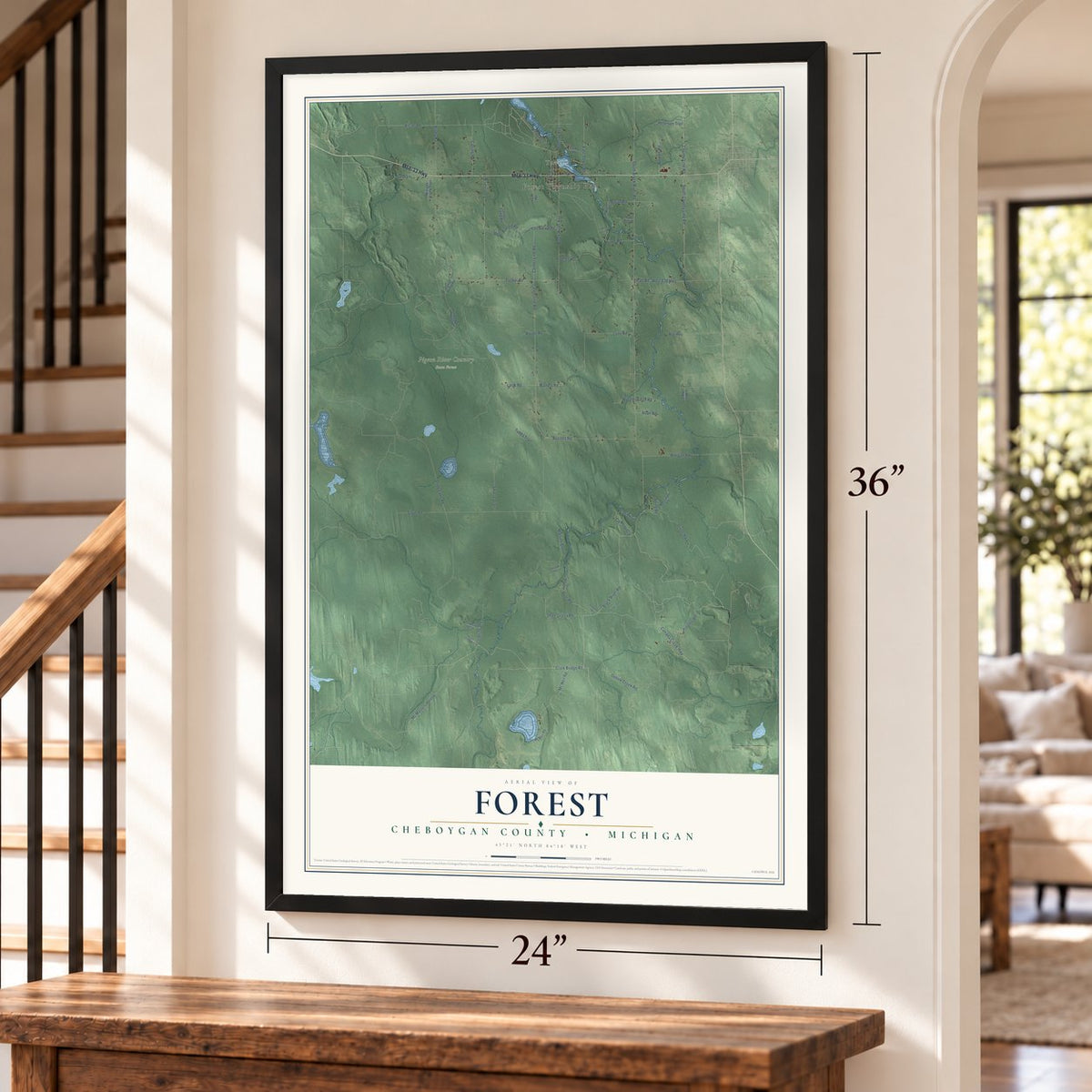 Forest, Cheboygan County, Michigan map, 24 x 36 inch print in a black frame by a staircase
