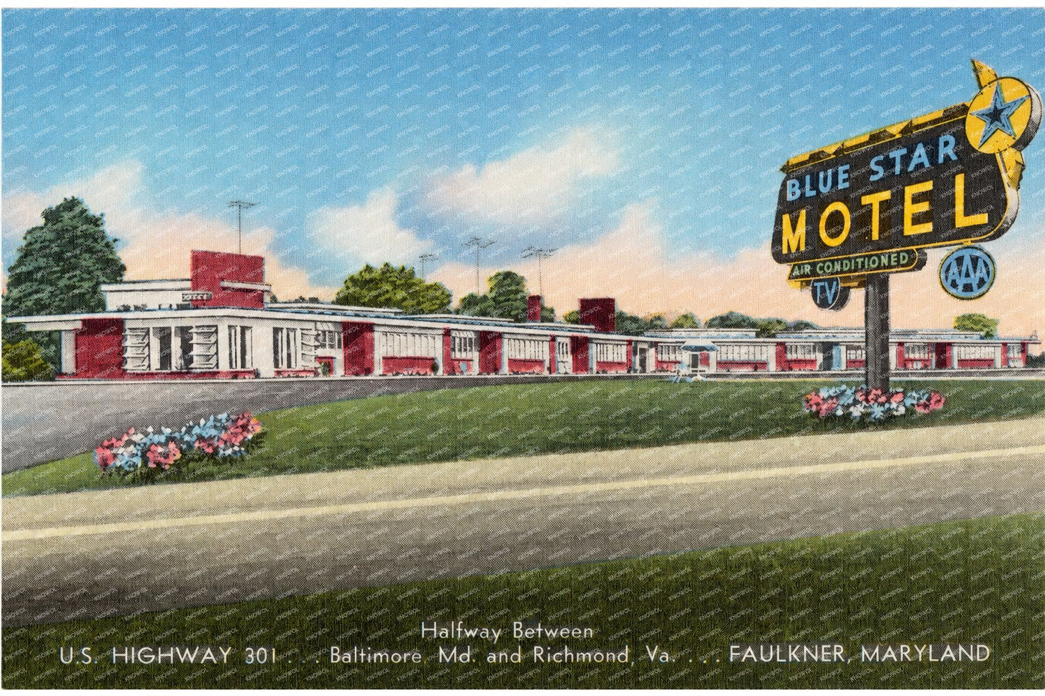 Blue Star Motel, U. S. Highway 301... halfway between Baltimore, MD and Richmond, Va. ... Faulkner, Maryland — Vintage Maryland Postcard