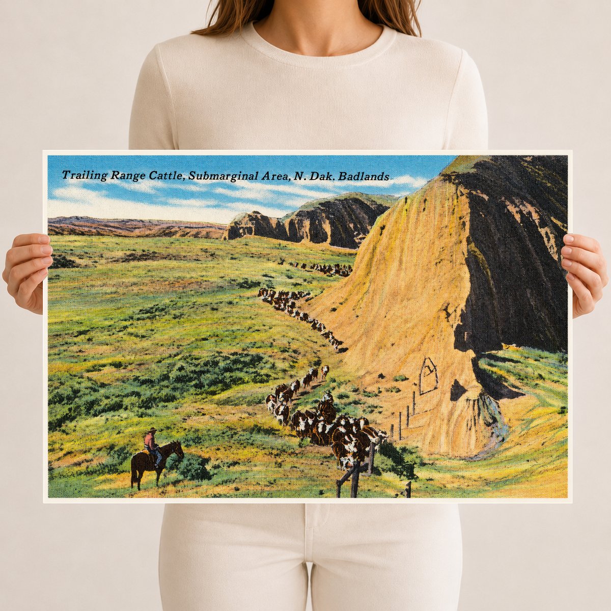 Little Badlands, ND: Trailing range cattle, submarginal area, N. Dak. Badlands