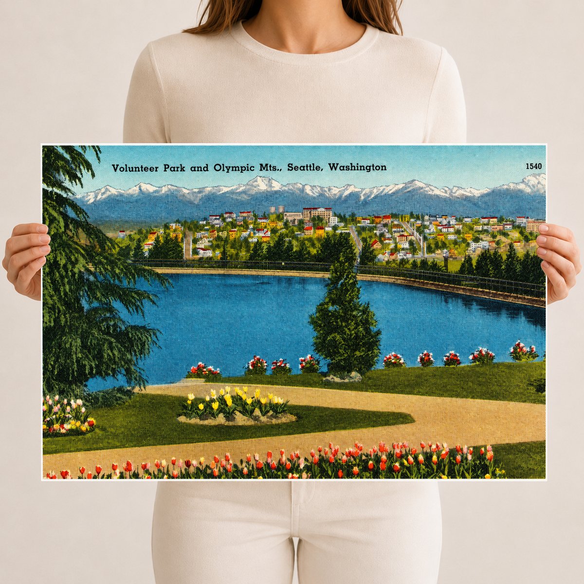 Seattle, WA: Volunteer Park and Olympic Mts.