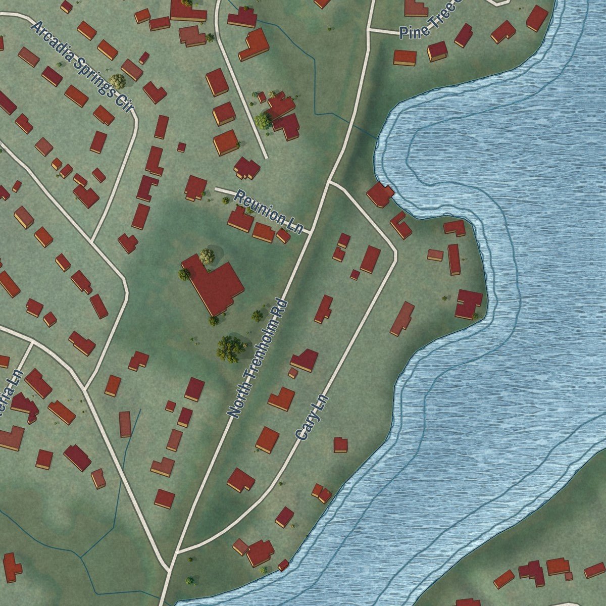 Close-up of the map of Arcadia Lakes, South Carolina print showing street and building detail
