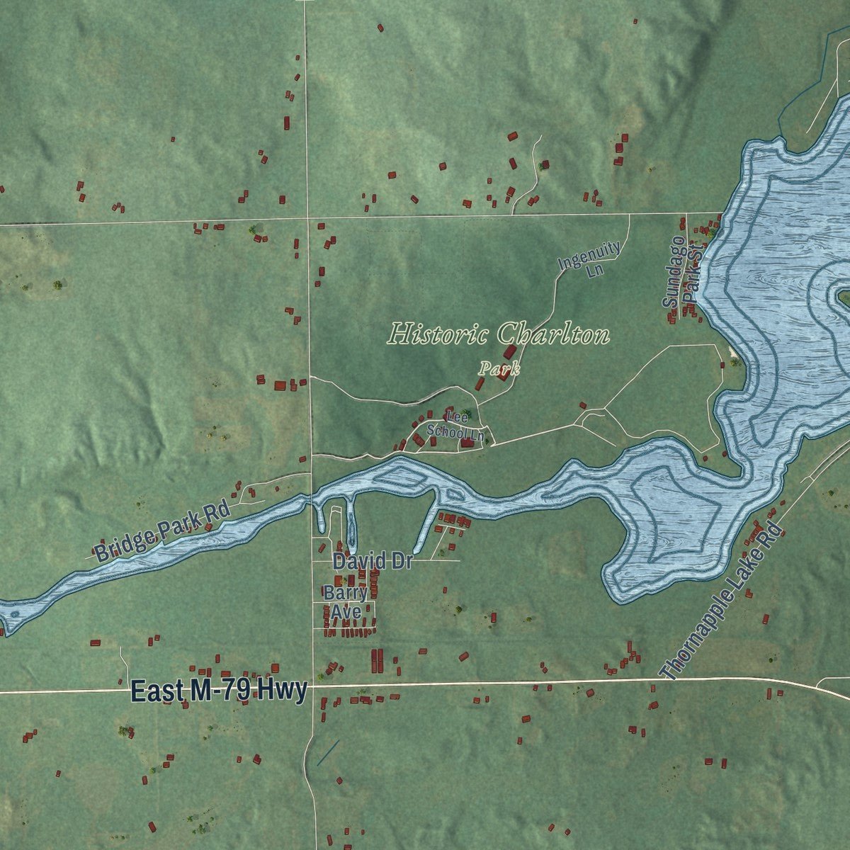 Close-up of the map of Hastings, Barry County, Michigan print showing street and building detail