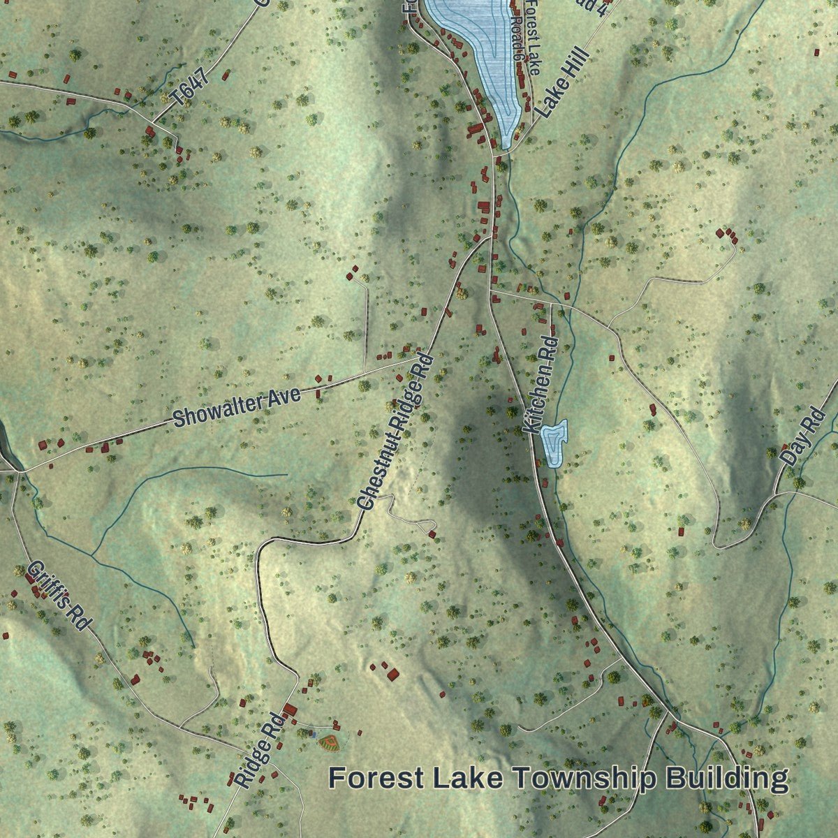 Close-up of the map of Forest Lake, Pennsylvania print showing street and building detail