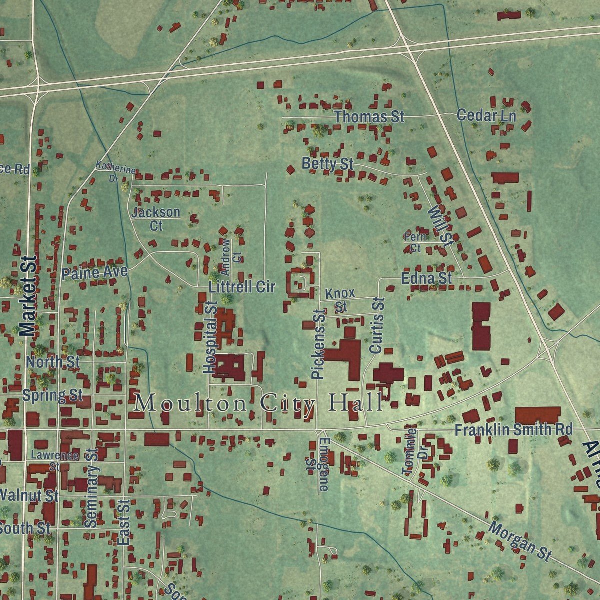 Close-up of the map of Moulton, Alabama print showing street and building detail
