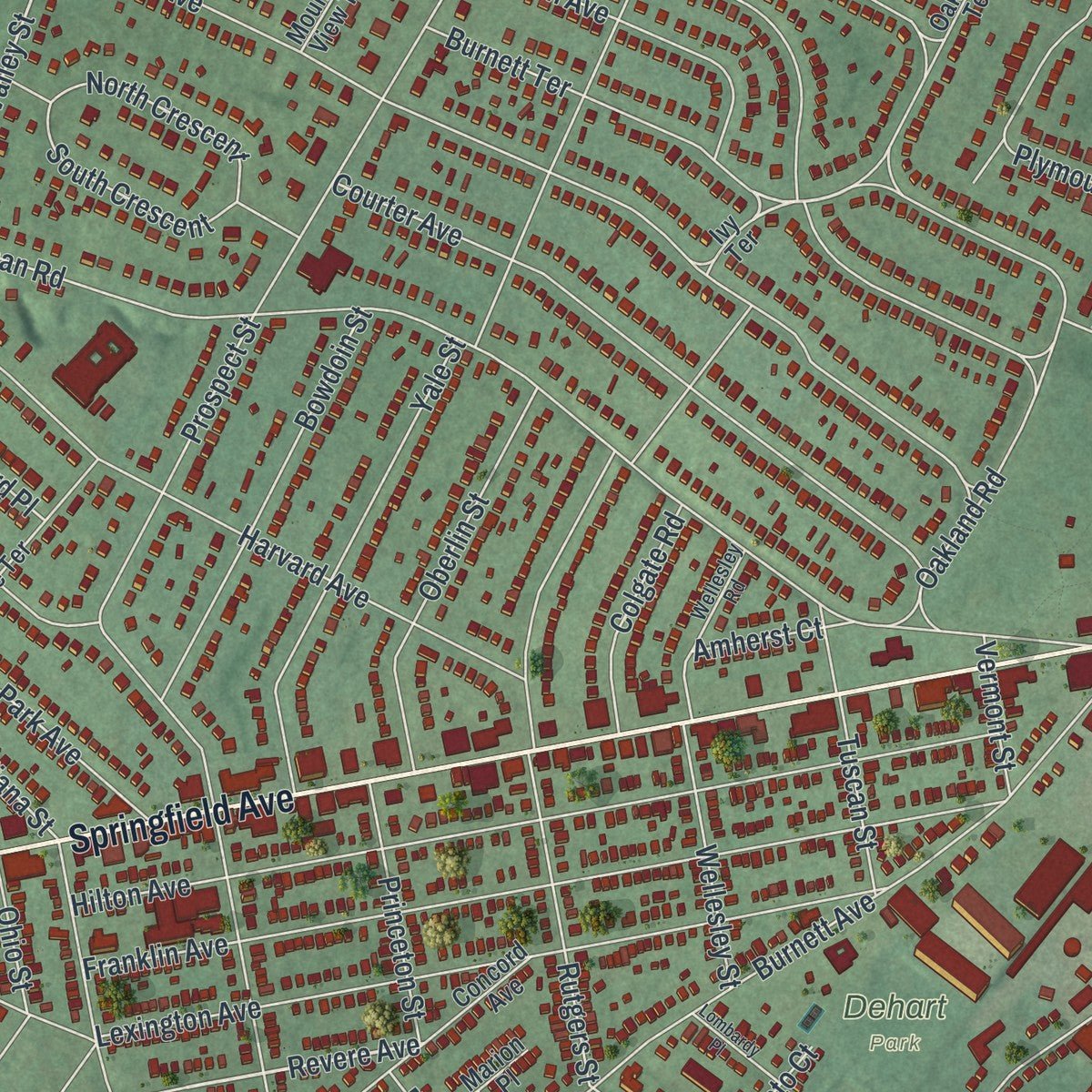 Close-up of the map of Maplewood, New Jersey print showing street and building detail