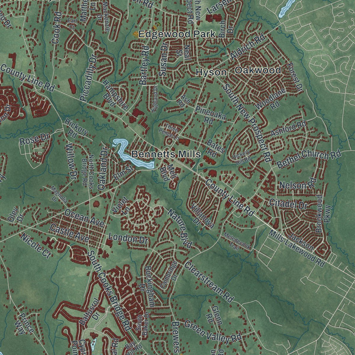 Close-up of the map of Jackson, New Jersey print showing street and building detail