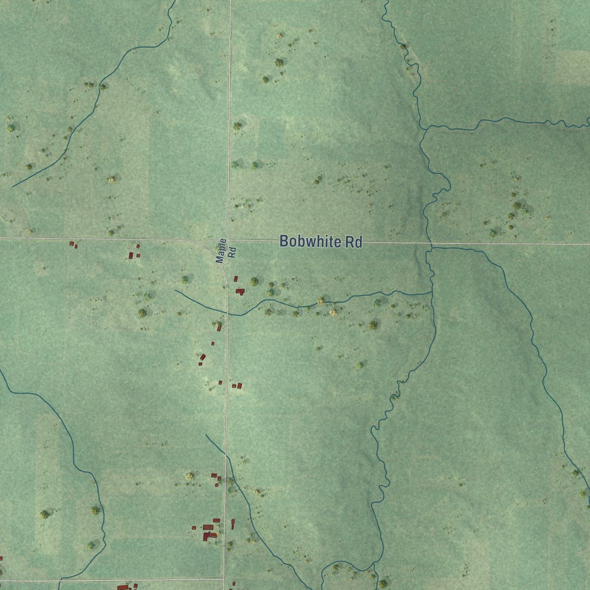 Close-up of the map of Seif, Wisconsin print showing street and building detail