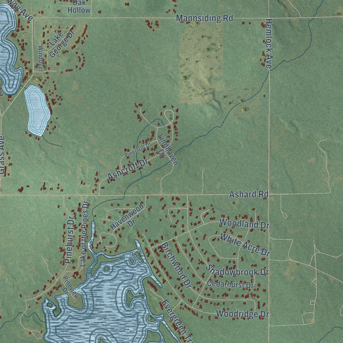 Close-up of the map of Freeman, Michigan print showing street and building detail