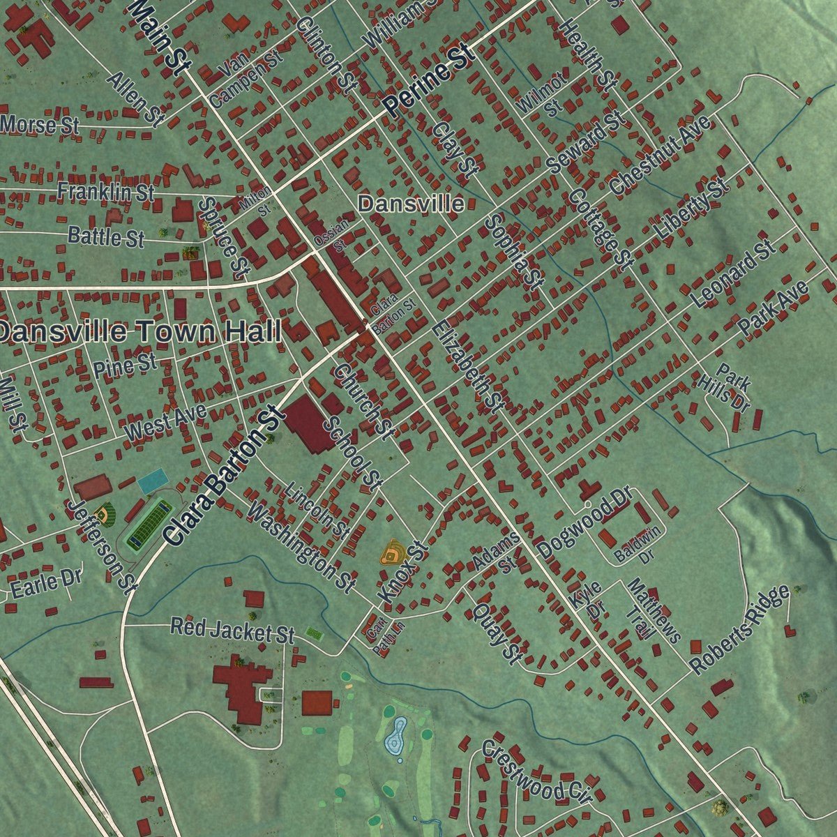 Close-up of the map of North Dansville, New York print showing street and building detail