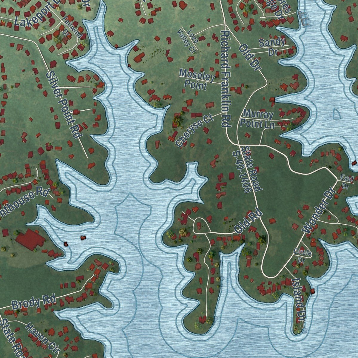 Close-up of the map of Lake Murray of Richland, South Carolina print showing street and building detail