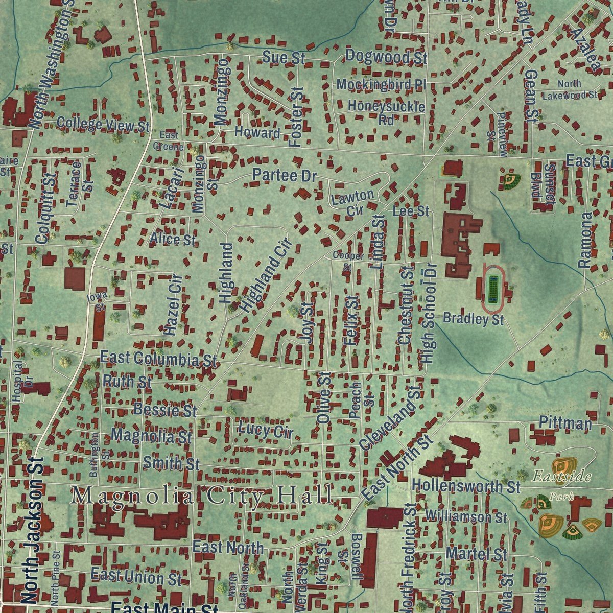 Close-up of the map of Magnolia, Arkansas print showing street and building detail