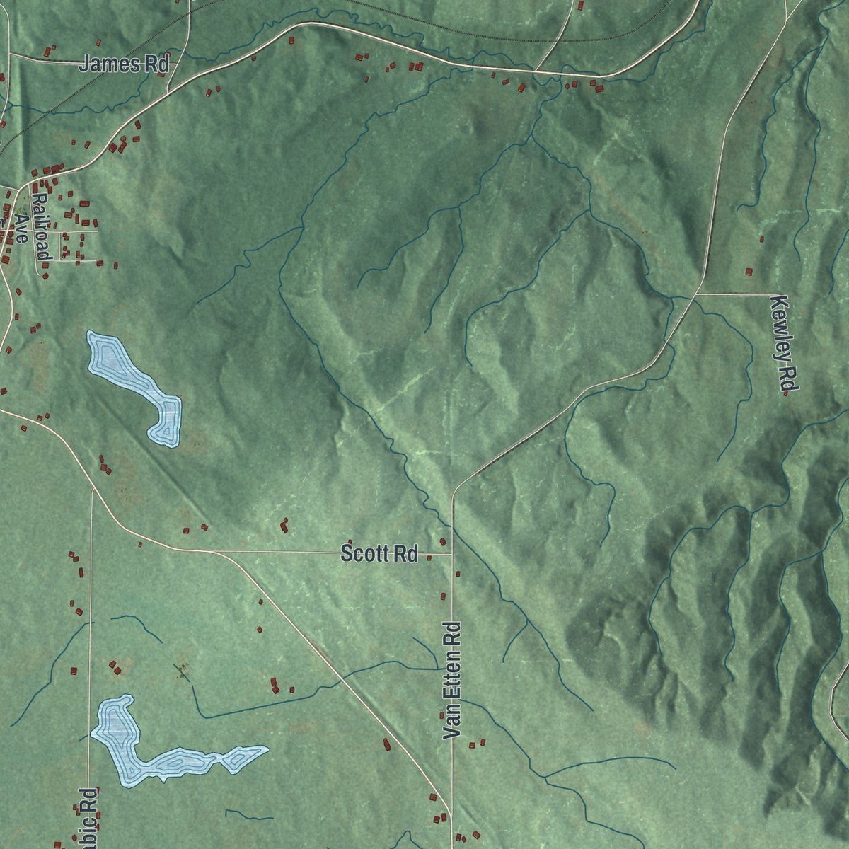 Close-up of the map of Dayton, New York print showing street and building detail