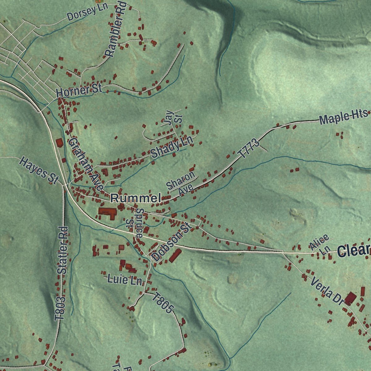 Close-up of the map of Paint, Somerset County, Pennsylvania print showing street and building detail