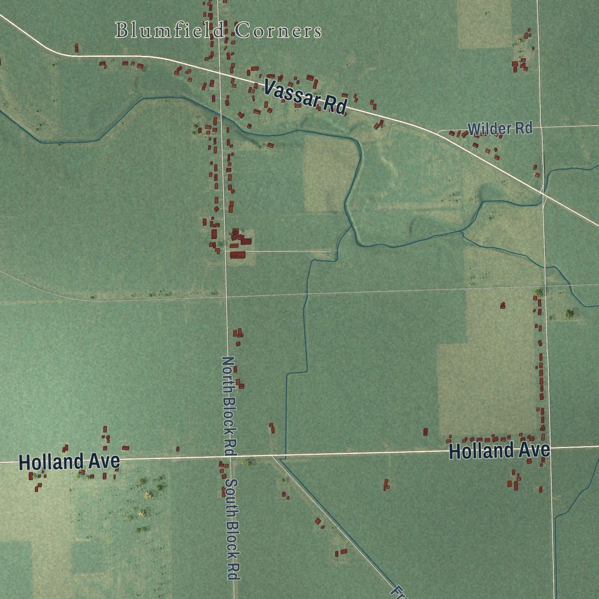 Close-up of the map of Blumfield, Michigan print showing street and building detail