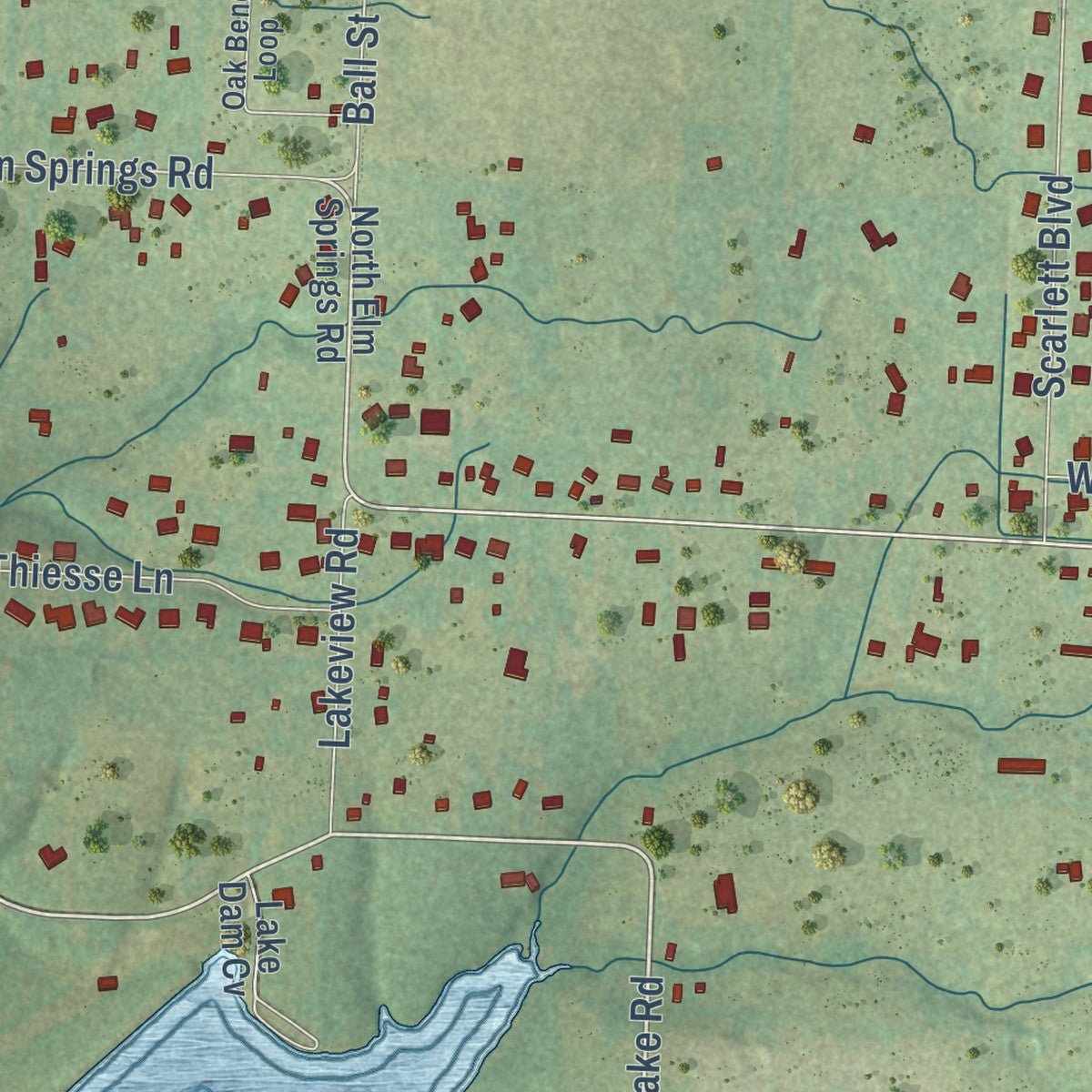 Close-up of the map of Elm Springs, Arkansas print showing street and building detail