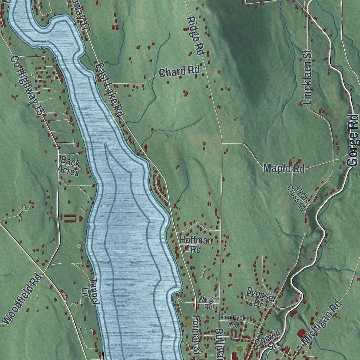 Close-up of the map of the Town of Cazenovia, New York print showing street and building detail