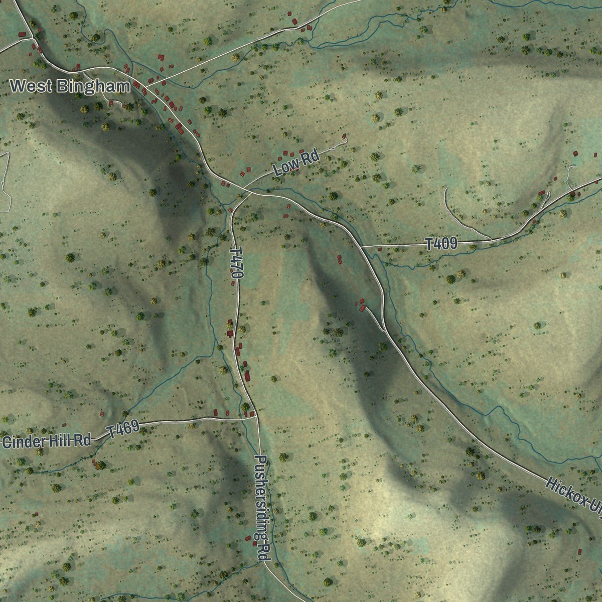 Close-up of the map of Bingham, Pennsylvania print showing street and building detail