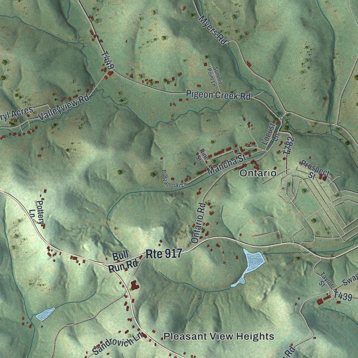 Close-up of the map of North Bethlehem, Pennsylvania print showing street and building detail