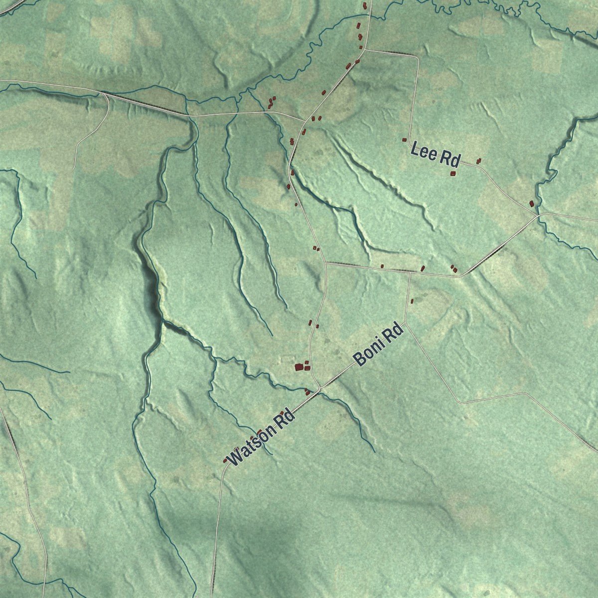 Close-up of the map of Champion, New York print showing street and building detail