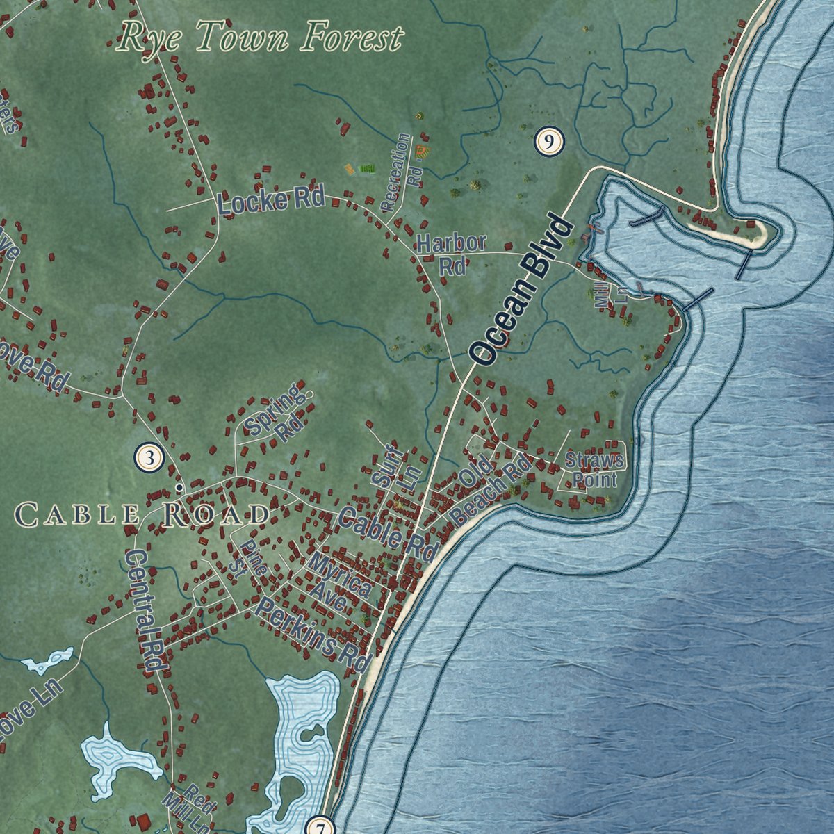 Close-up of the map of Rye, New Hampshire print showing street and building detail
