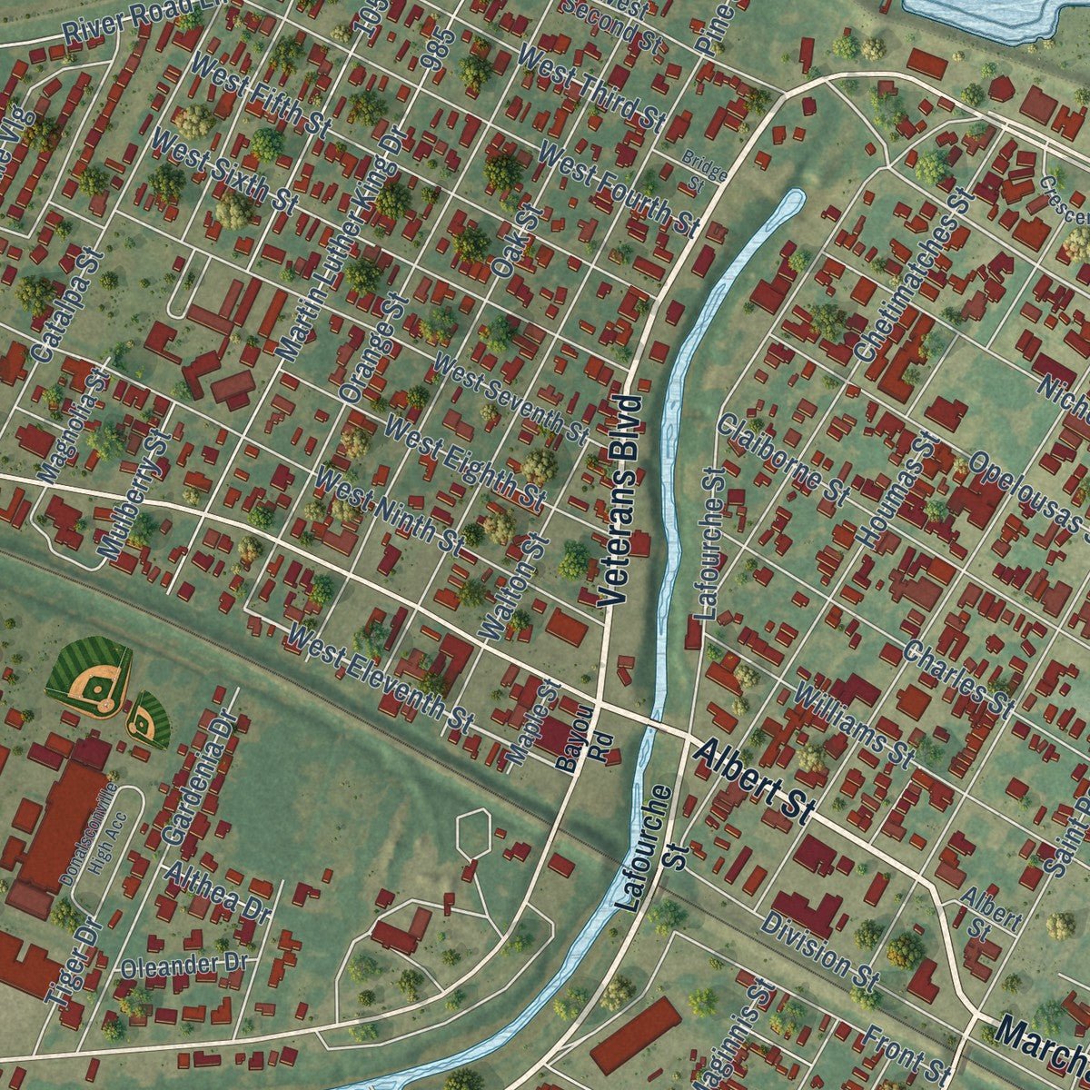 Close-up of the map of Donaldsonville, Louisiana print showing street and building detail
