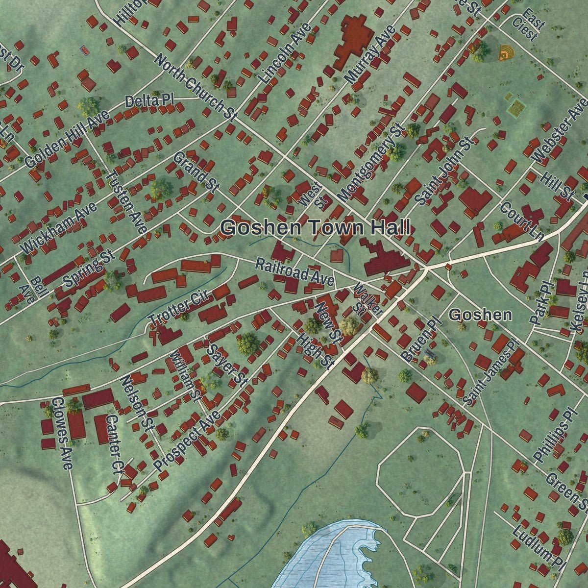 Close-up of the map of the Village of Goshen, New York print showing street and building detail