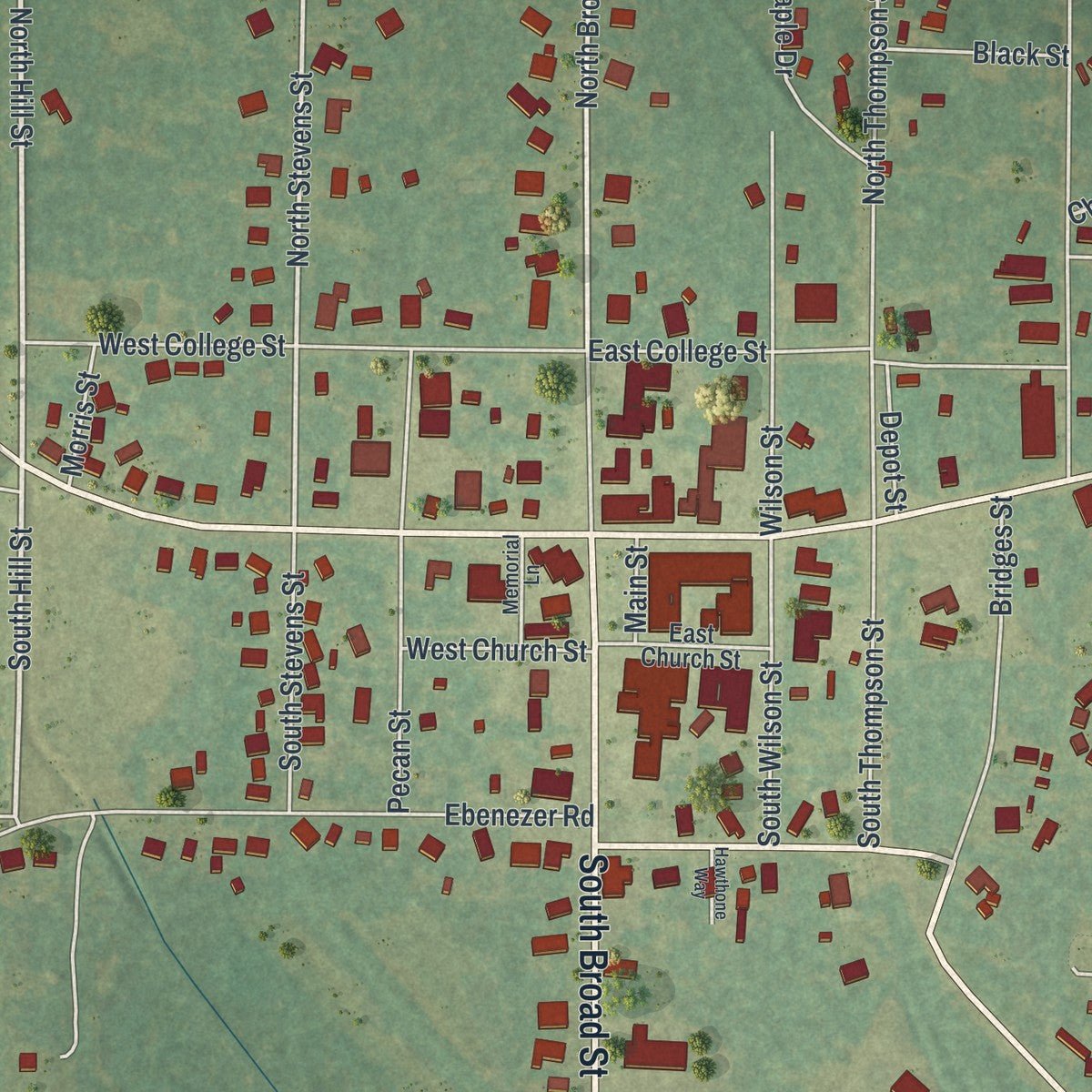 Close-up of the map of Ellaville, Georgia print showing street and building detail