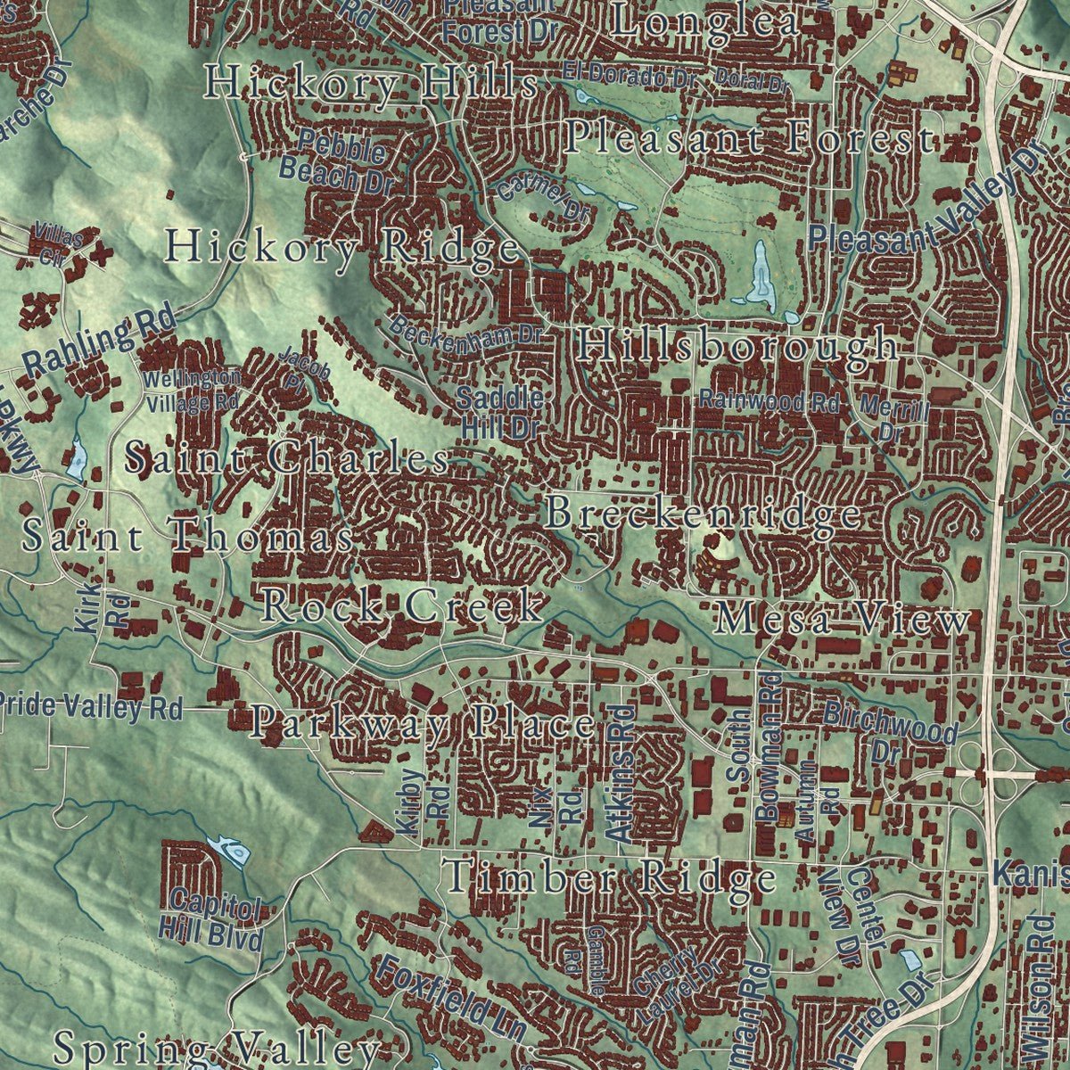 Close-up of the map of Little Rock, Arkansas print showing street and building detail
