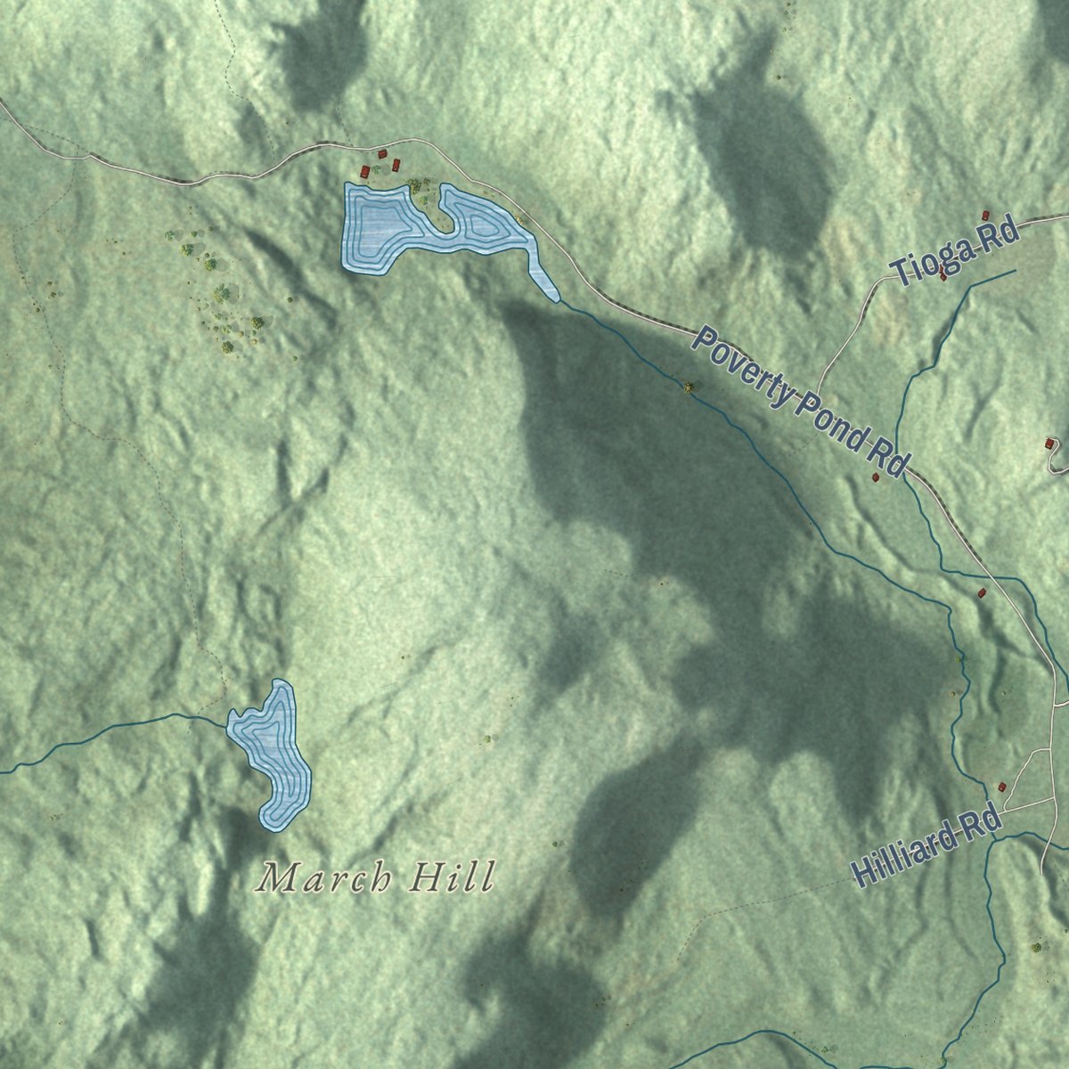 Close-up of the map of Hill, New Hampshire print showing street and building detail