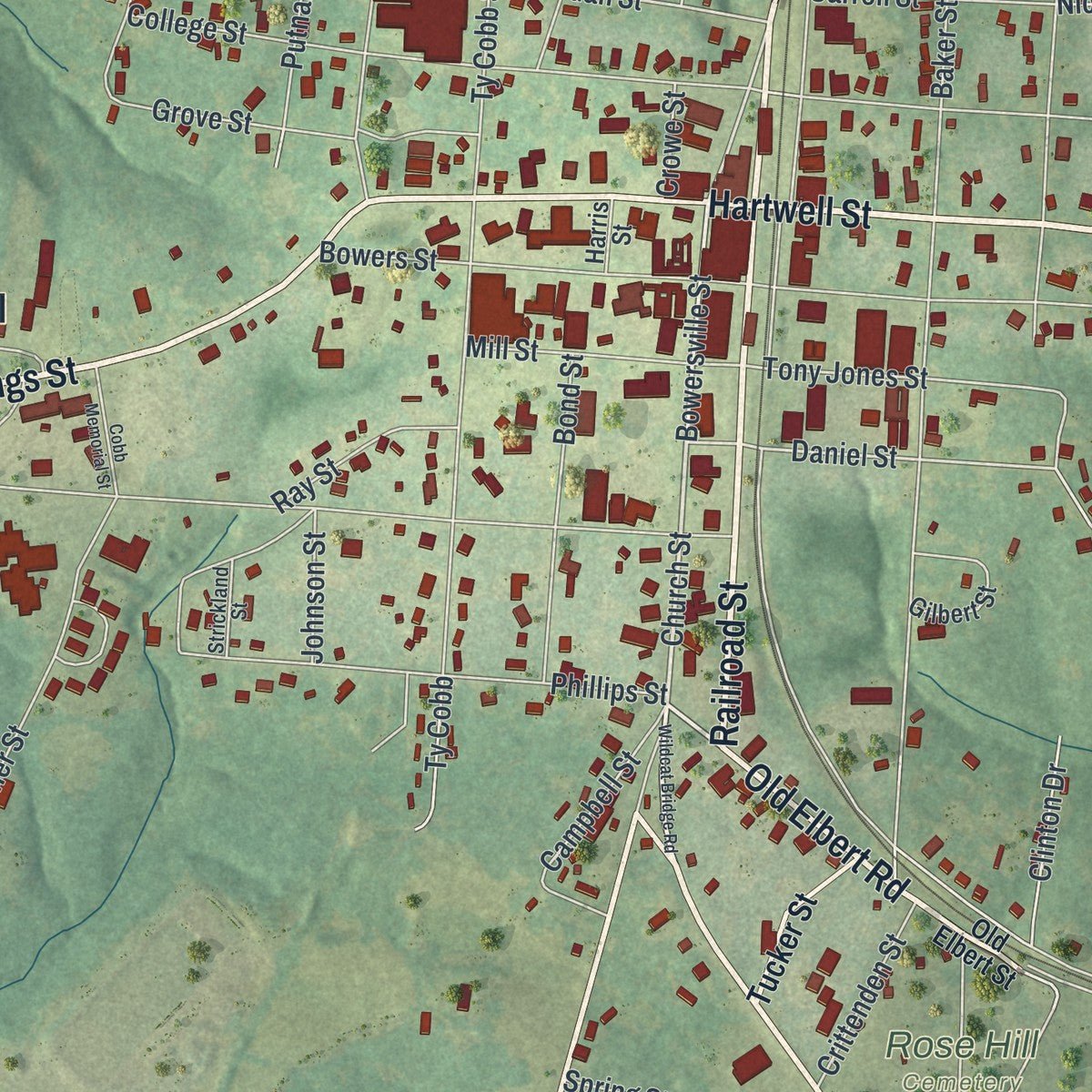 Close-up of the map of Royston, Georgia print showing street and building detail