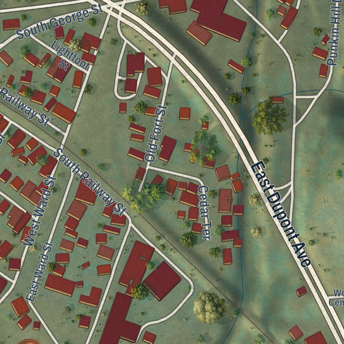 Close-up of the map of Cedar Grove, West Virginia print showing street and building detail
