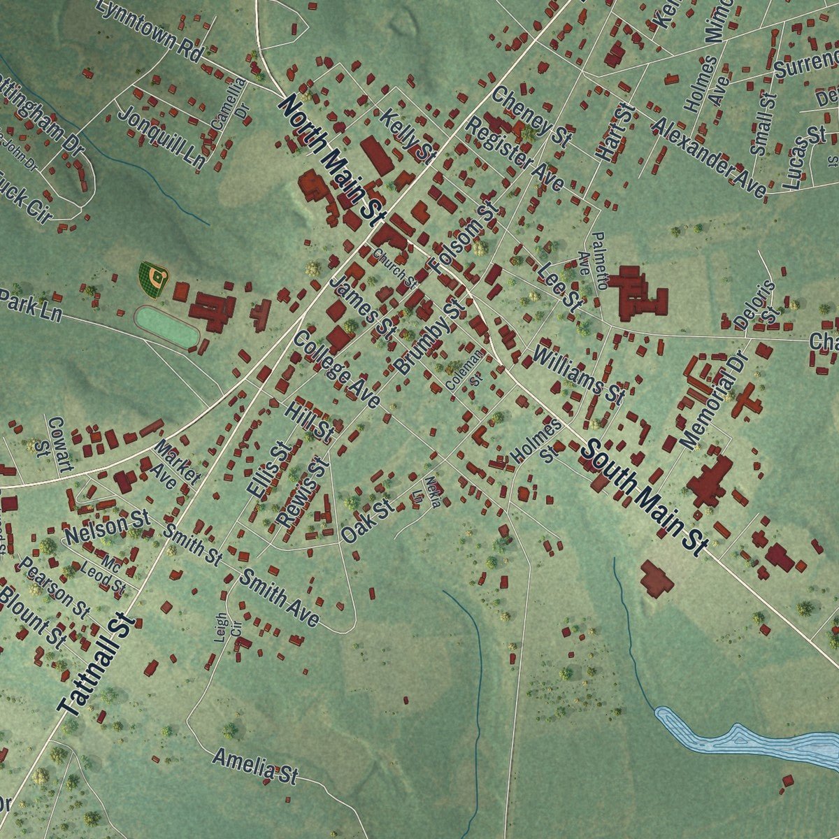 Close-up of the map of Reidsville, Georgia print showing street and building detail