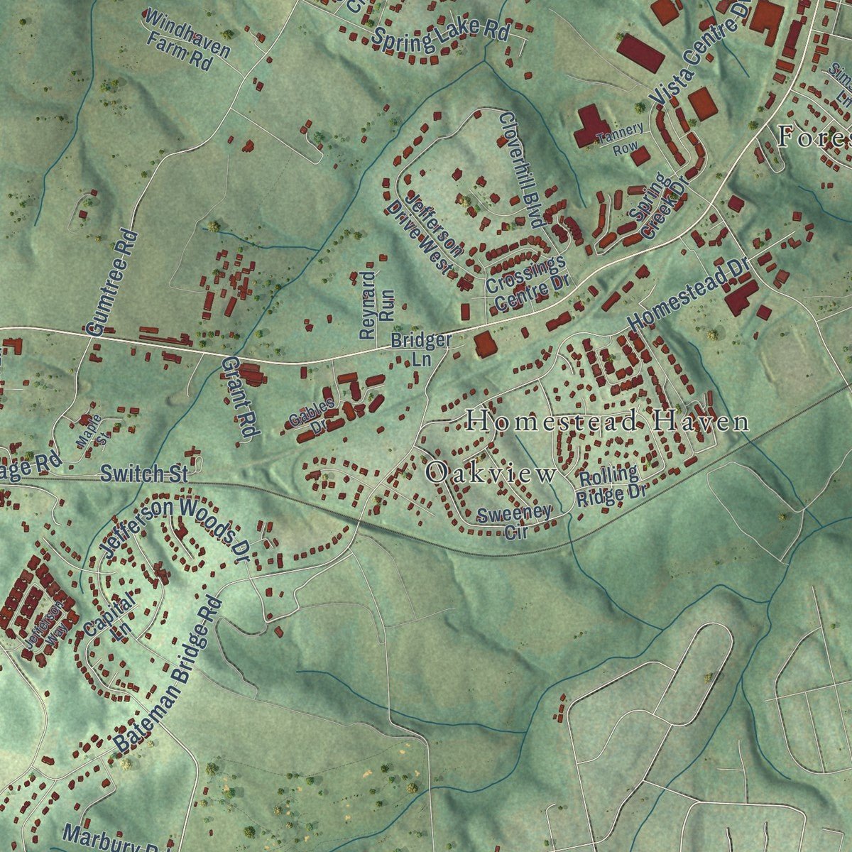 Close-up of the map of Forest, Virginia print showing street and building detail