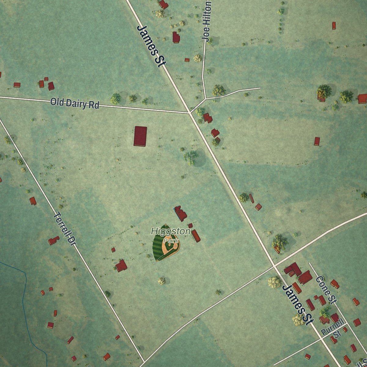 Close-up of the map of Higgston, Georgia print showing street and building detail