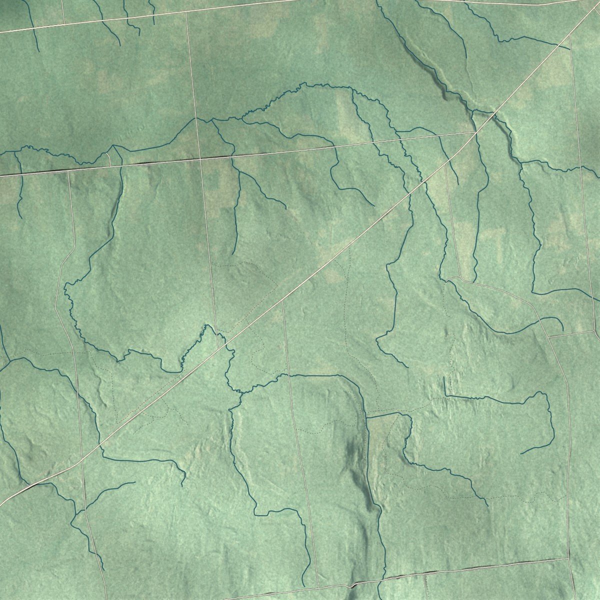 Close-up of the map of Stockholm, New York print showing street and building detail