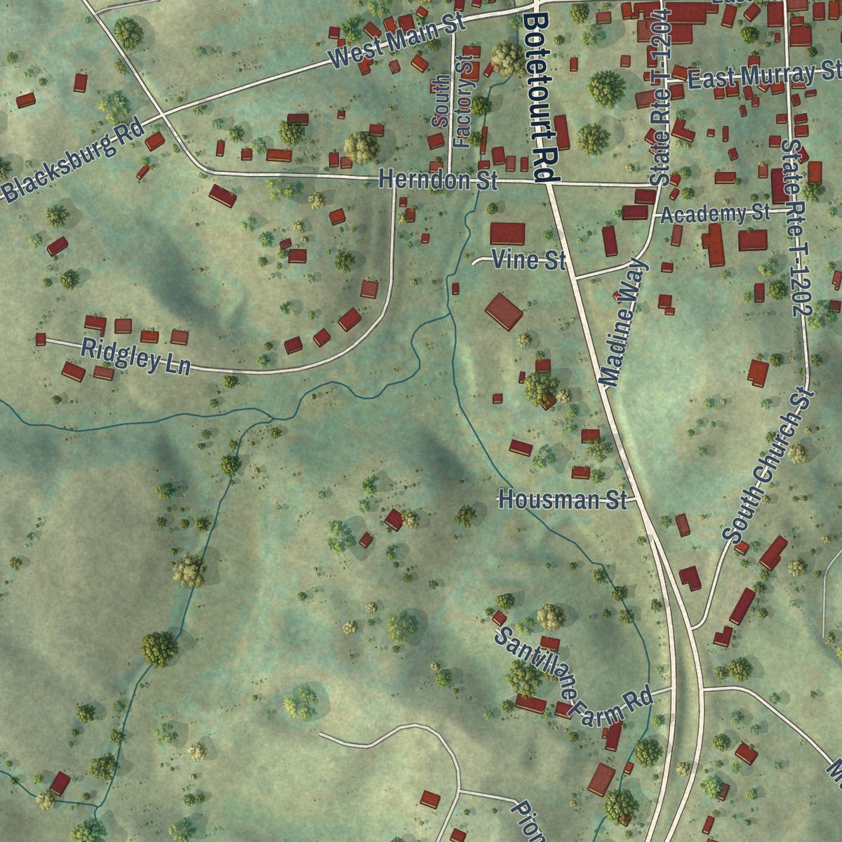 Close-up of the map of Fincastle, Virginia print showing street and building detail